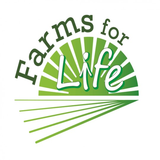 Organization Logo