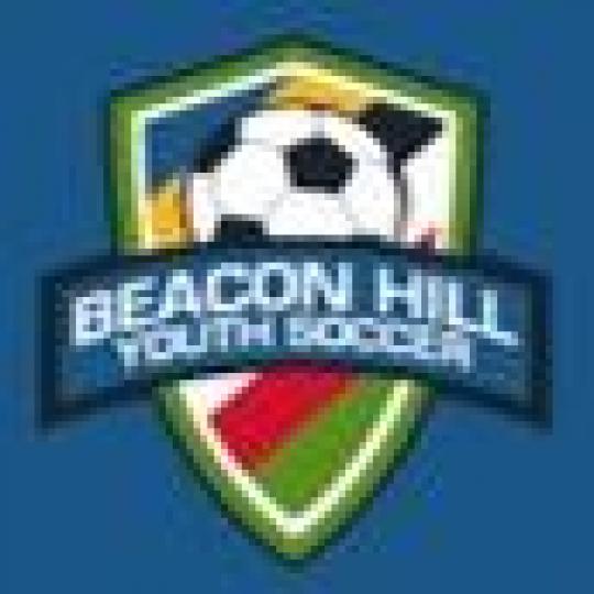 Organization Logo