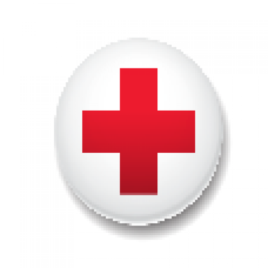 Organization Logo
