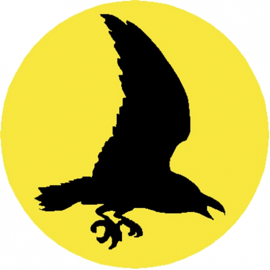 Organization Logo