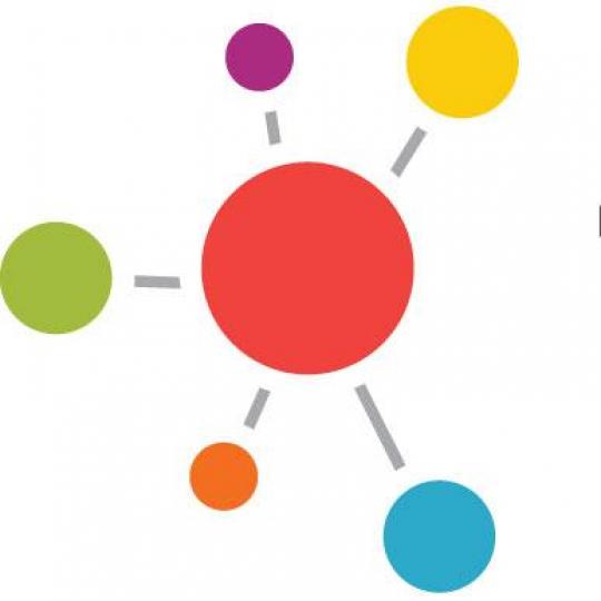 Organization Logo