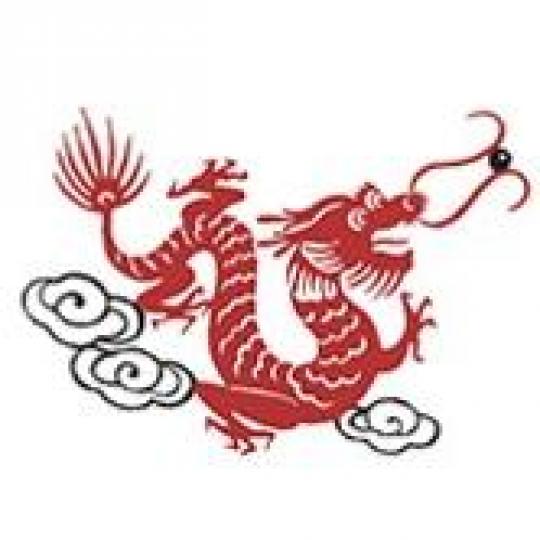 Organization Logo
