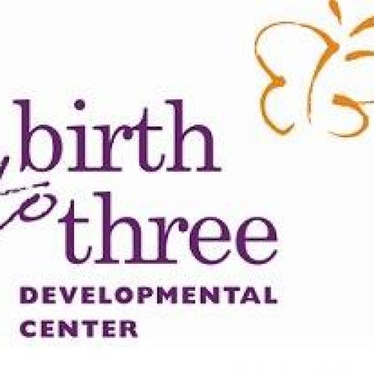 Organization Logo