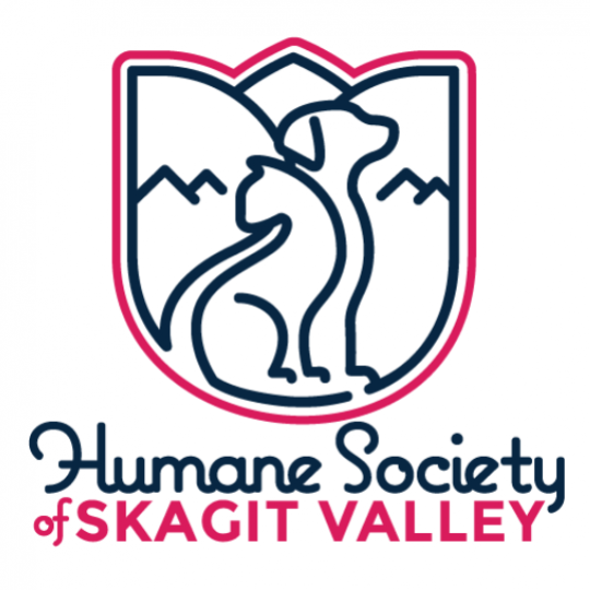 Agency Logo