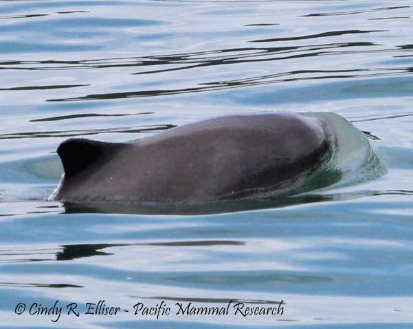 Agency Photo  (176017)