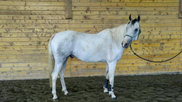 Agency Photo  (108858)