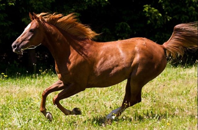 Agency Photo  (108859)