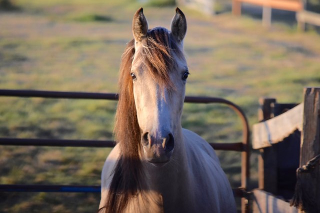 Agency Photo  (108846)