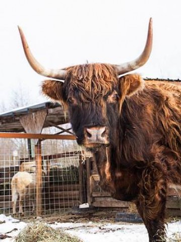 Agency Photo  (108848)