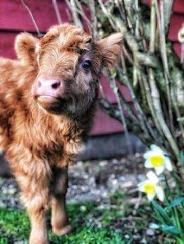 Agency Photo  (108847)