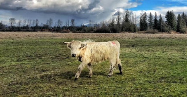 Agency Photo  (108849)