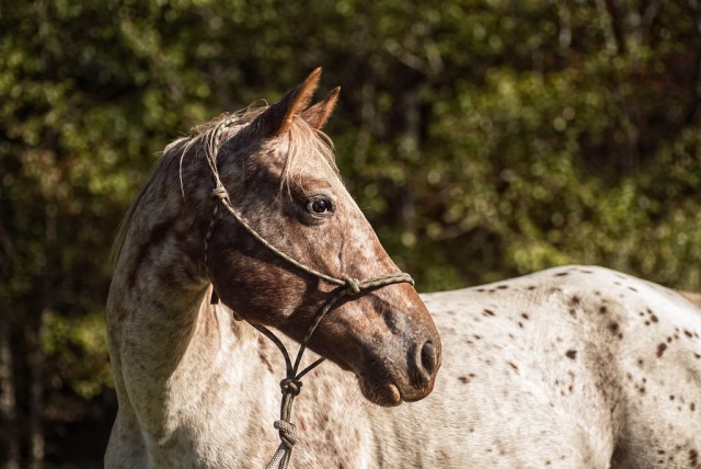 Agency Photo  (108857)