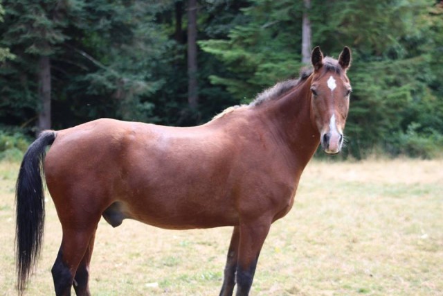 Agency Photo  (108860)