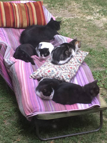 Organization Photo  (140707)