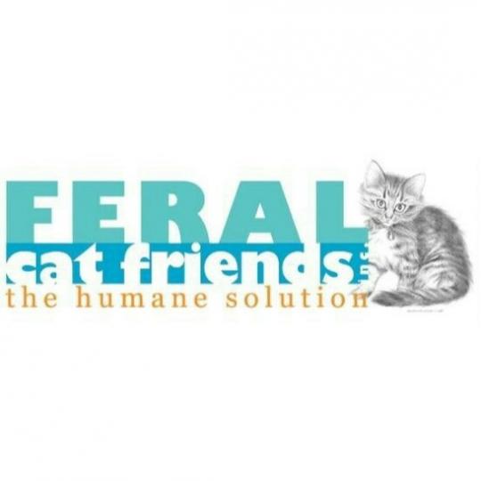 Organization Logo
