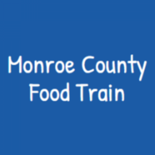Organization Logo