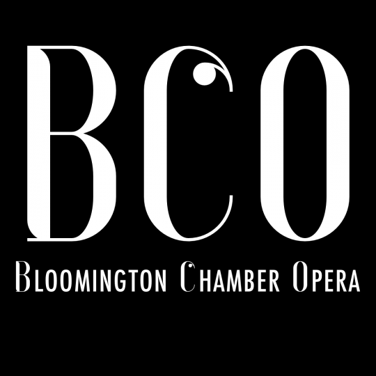 Organization Logo