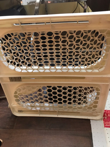 Organization Photo  (164730)