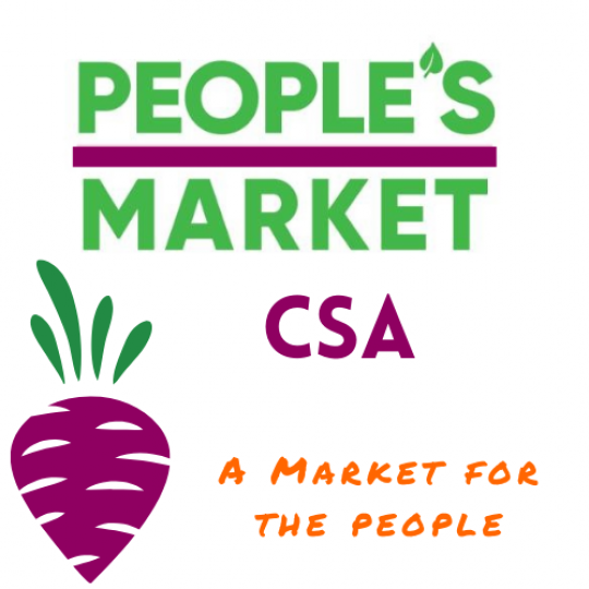 Organization Logo
