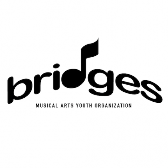 Organization Logo