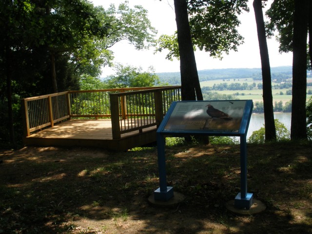 Organization Photo  (213034)
