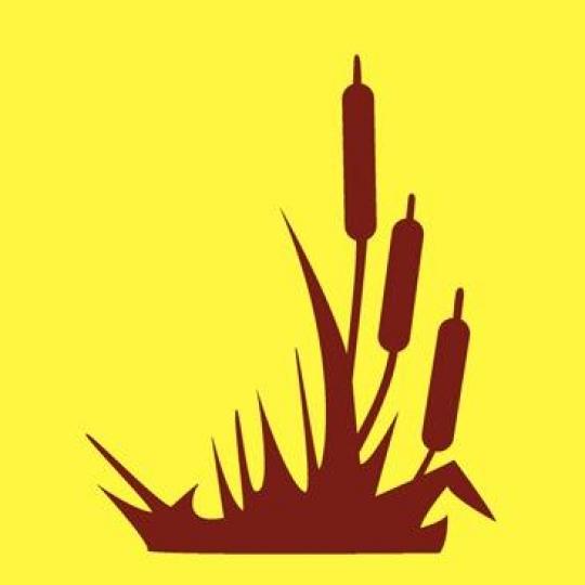 Organization Logo
