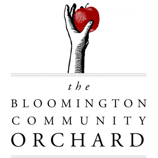 Organization Logo
