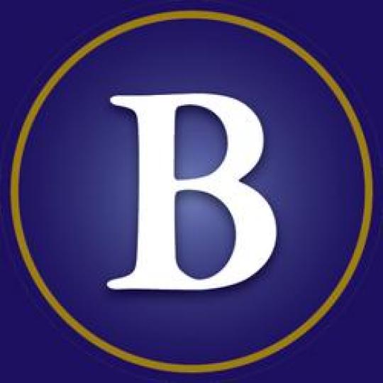 Organization Logo