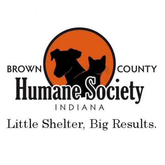 Organization Logo