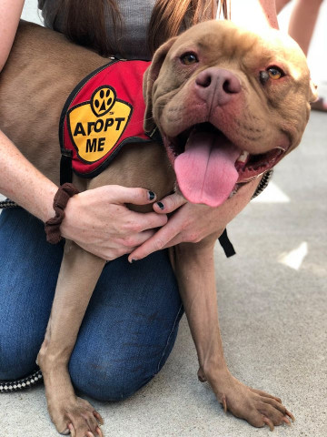 Organization Photo  (116556)