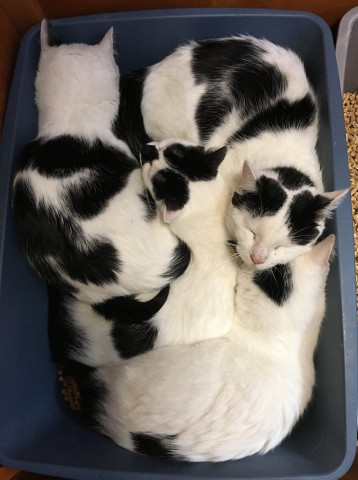 Organization Photo  (116555)