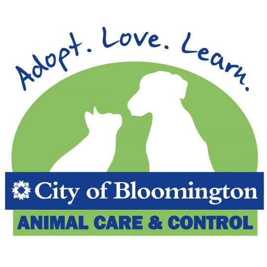 Organization Logo