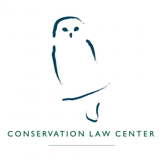 Organization Logo