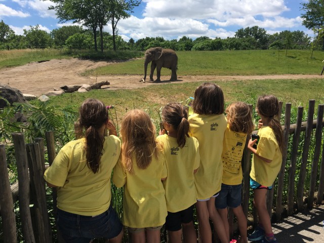 Organization Photo  (86022)