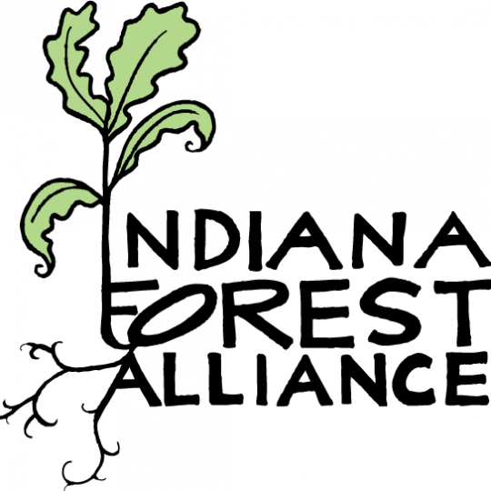 Organization Logo