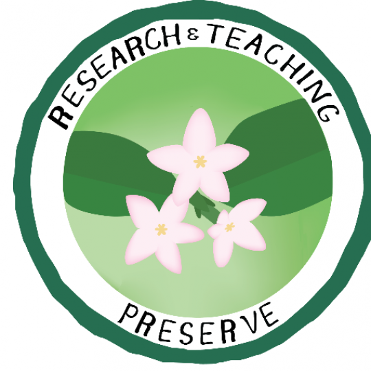 Organization Logo
