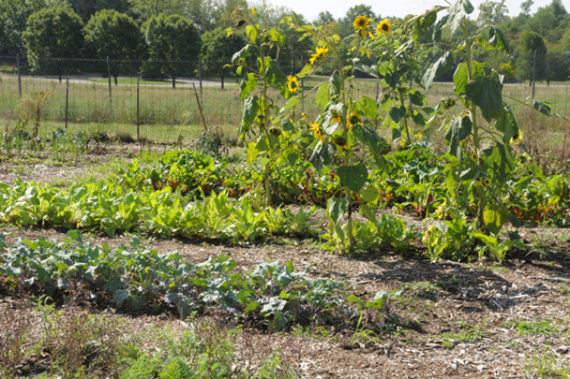 Organization Photo  (142155)