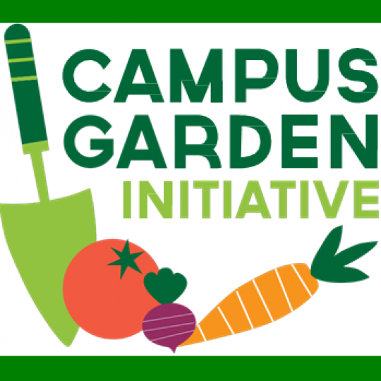 Organization Logo