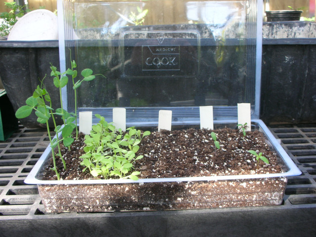 Organization Photo  (122286)