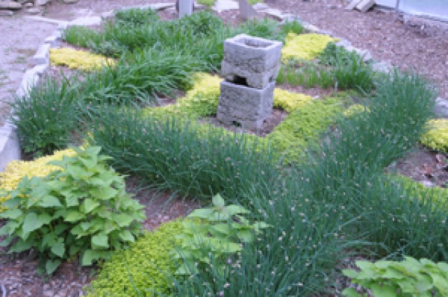 Organization Photo  (74418)