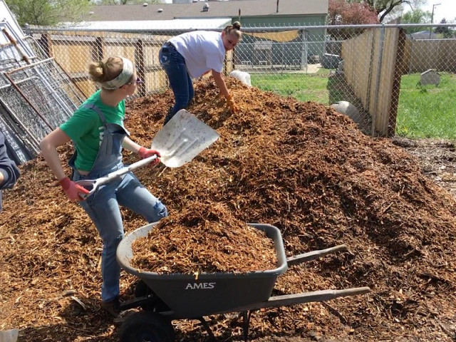 Organization Photo  (144870)