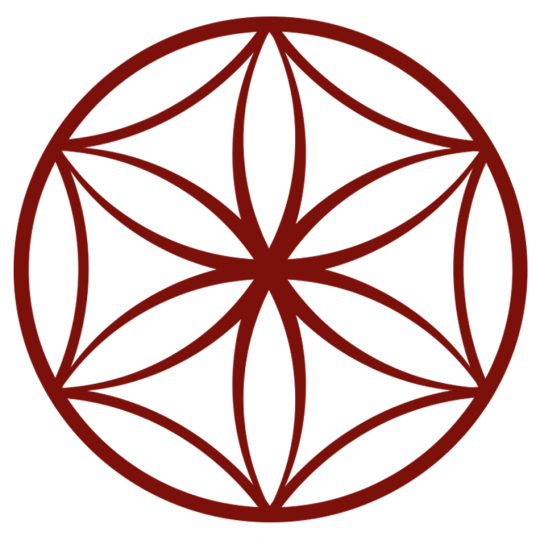 Organization Logo