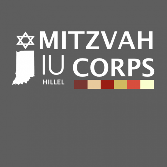 Organization Logo