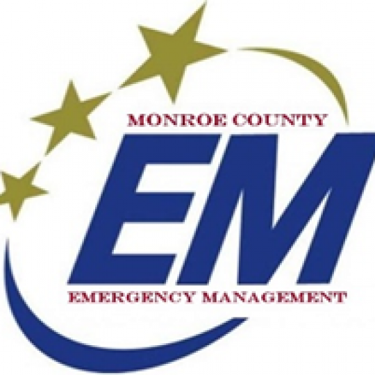 Organization Logo