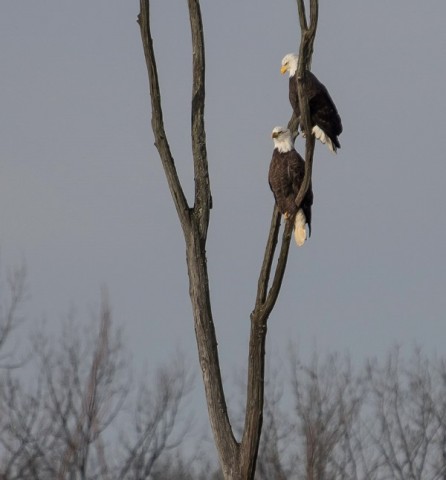 Organization Photo  (74175)