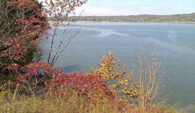 Organization Photo  (74169)