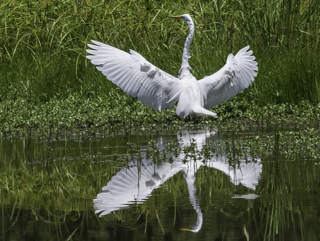 Organization Photo  (74174)