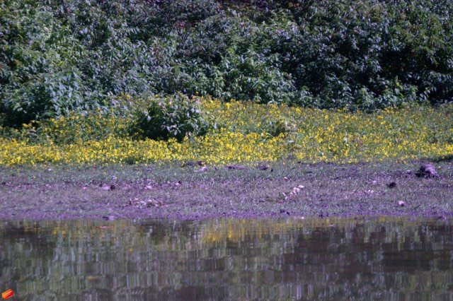 Organization Photo  (74179)