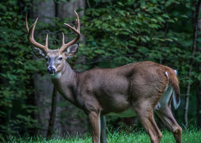 Organization Photo  (74177)