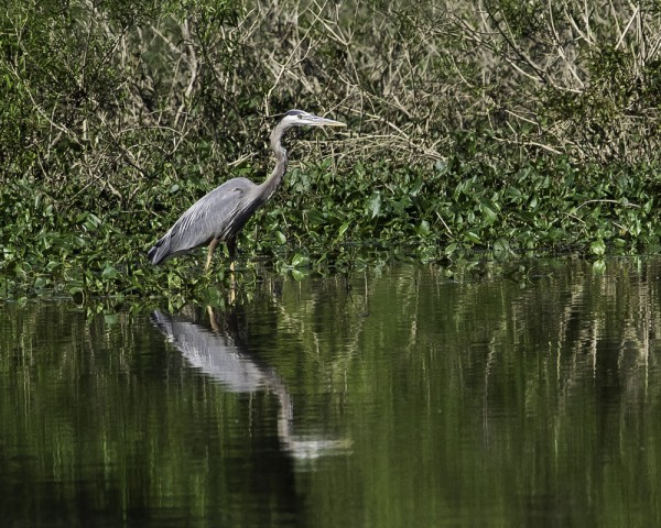 Organization Photo  (74173)